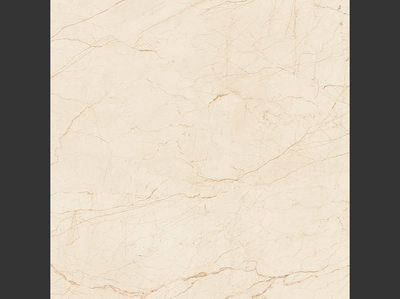 駱駝磁磚、駱駝磁磚品牌