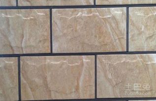 墻壁瓷磚有哪些種類 墻壁瓷磚價(jià)格舉例